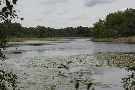 Bohnenlaendersee