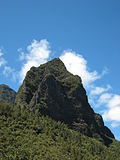 Vignette pour Bonnet de Prêtre (La Réunion)