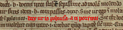 Book of Henryków.  Highlighted in red is the earliest known sentence written in the Old Polish language