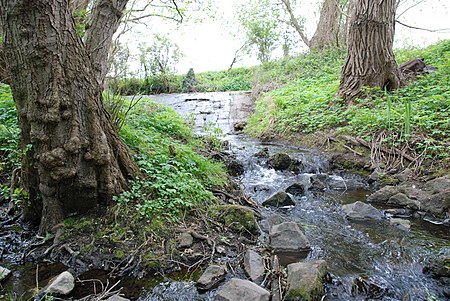 Brühlwiesengraben Apfelbach