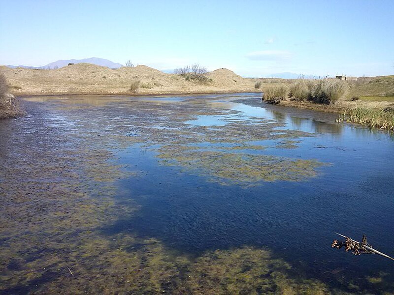 File:Brazo muerto del estuario del Guadalquiton.jpg