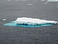 Bright blue ice seen from above Coral Princess Antarctica.jpg