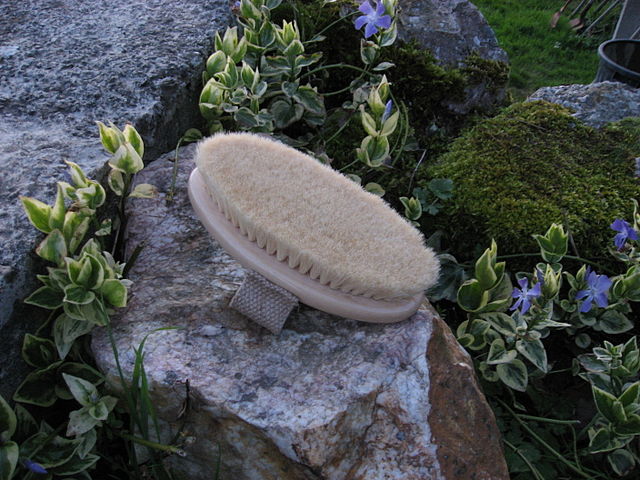 File:Brosse à habits montée main.jpg - Wikimedia Commons