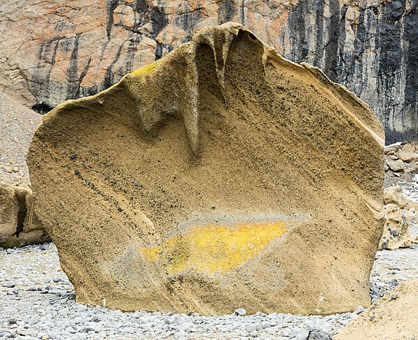 Volcanic tephra at Brown Bluff, Antarctica (2016)