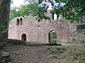 The ruins of Eberbach Castle