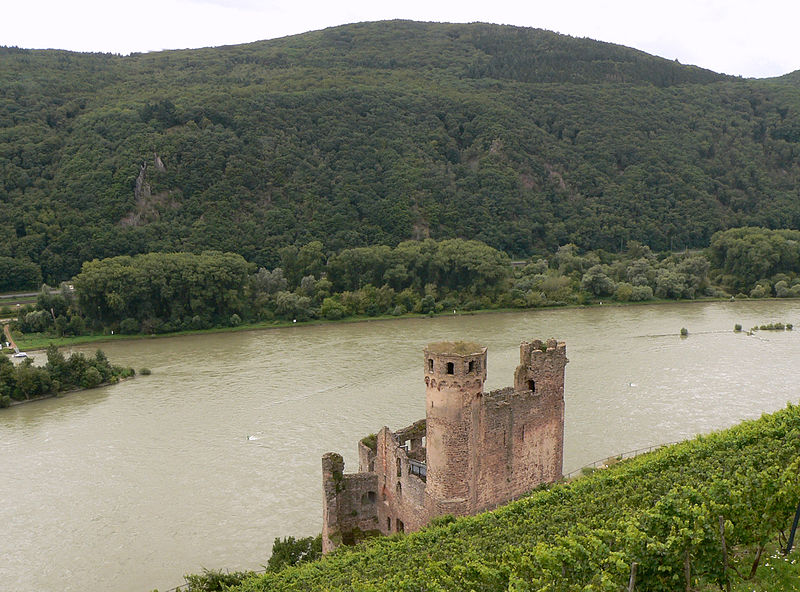 File:Burg Ehrenfels Weinberge von seitlich oben.jpg