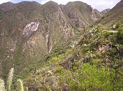 Landscape in the south of the district