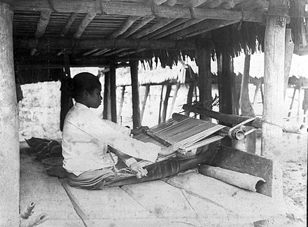 A female Tanimbar weaver in Tanimbar Islands (photo from the Tropenmuseum collection)
