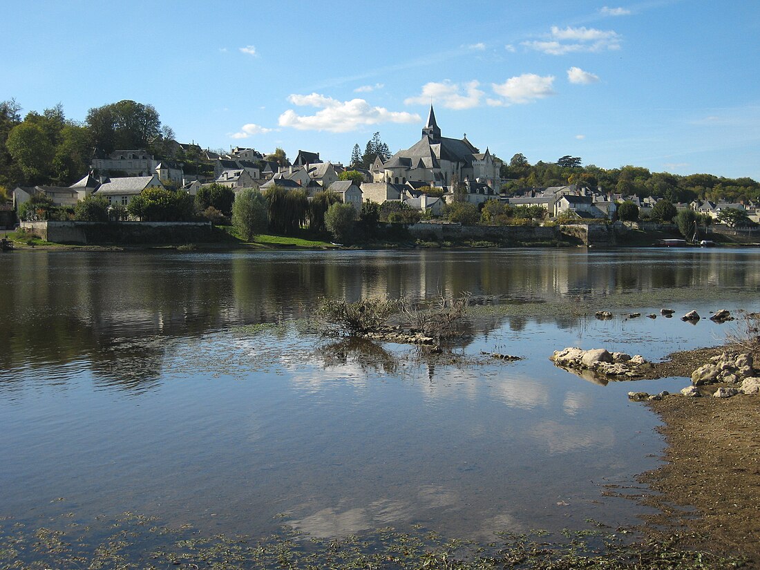 Candes-Saint-Martin