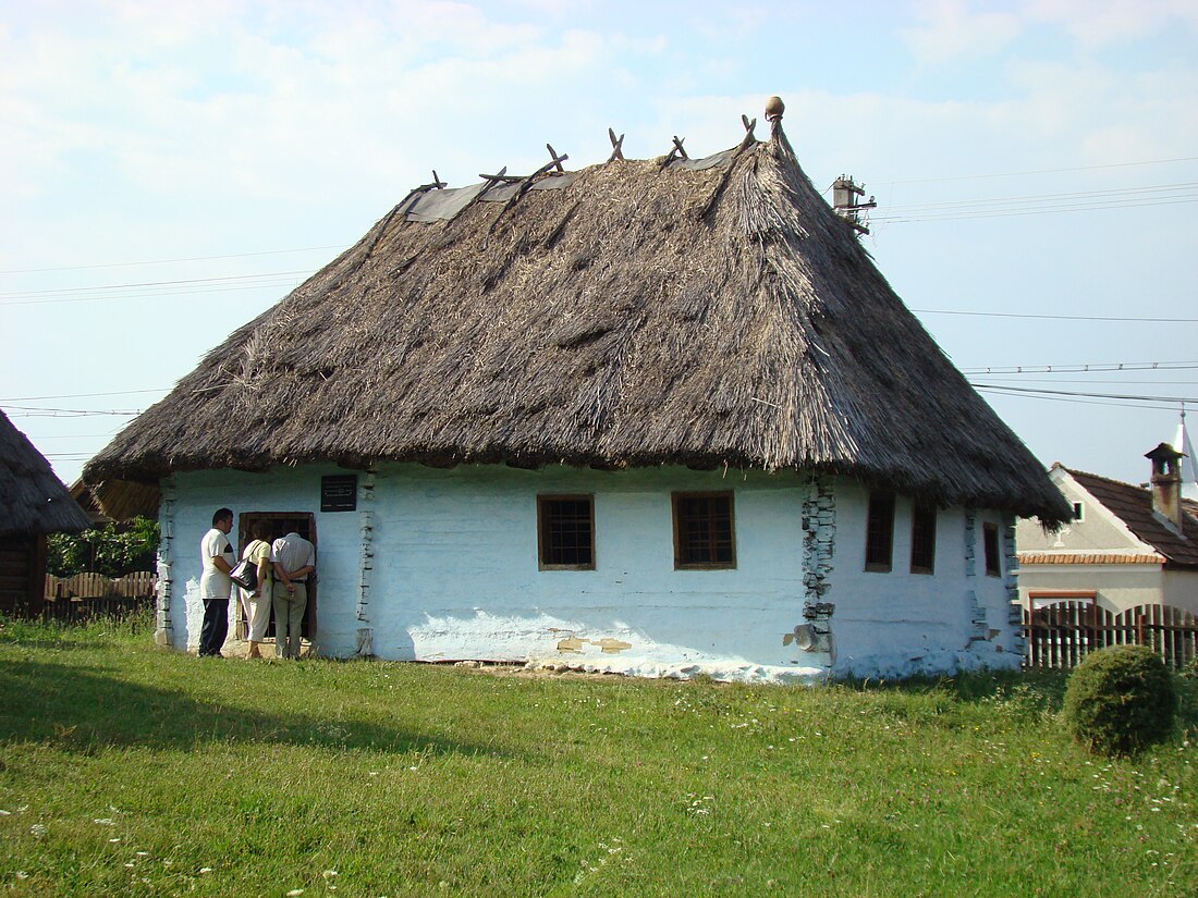 Cârțișoara