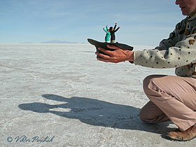 Caught! (Bolivia, 2015) Photo taken on a Latin American expedition