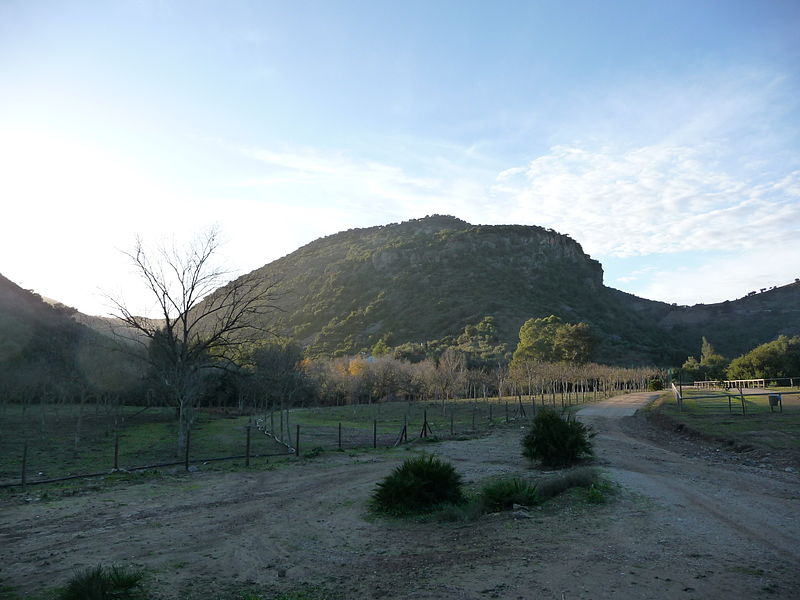 File:ChaparroDeLaVega-P1050955.JPG