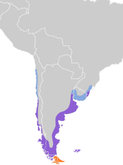 Mapa występowania