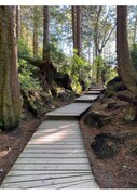 Sentier en forêt.