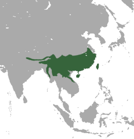 Chinese Pangolin range.png