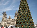 Christmas tree and Metropolitan Cathedral at Mexico's City zócalo