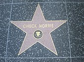 Norris's Hollywood star