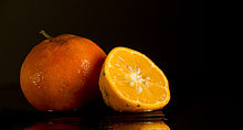 Citrus x limonia (2) .jpg