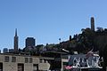 Coit Tower and Transamerica Pyramid (TK2)