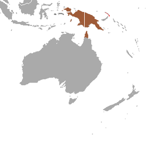 Common Spotted Cuscus area.png