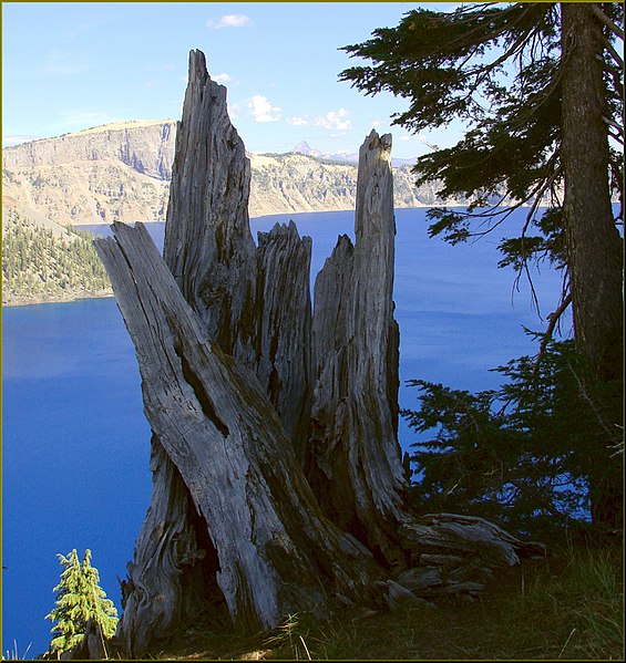 File:Crater Lake NP, OR "Ancient Observer" 8-28-13q (9859691283).jpg