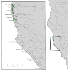 Carte de l'aire de répartition de Cupressus pygmaea 4.png