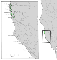 Cupressus pygmaea Range Map 4.png