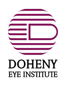 DEI-Logo.png