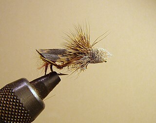 <span class="mw-page-title-main">Dave's Hopper</span> Artificial fly used for fishing