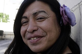 <span class="mw-page-title-main">Diana Sacayán</span> Argentinian LGBT rights activist (1975-2015)