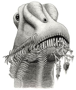 ディプロドクス科に特徴的な頭部の形態（生態復元想像図）