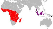 Map of the distribution area broken down by subspecies