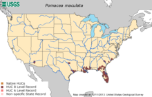 Non-native distribution of Pomacea maculata in the Southeastern United States Distribution of Pomacea maculata in the United States.png