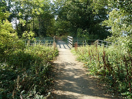 Disused Railway Bridge National Cycle Route - geograph.org.uk - 2633295