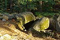 Le dolmen de Toulvern 5.