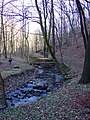 Čeština: Břežanský potok na jižní hranici Prahy English: Břežanský potok creek on Prague southern border