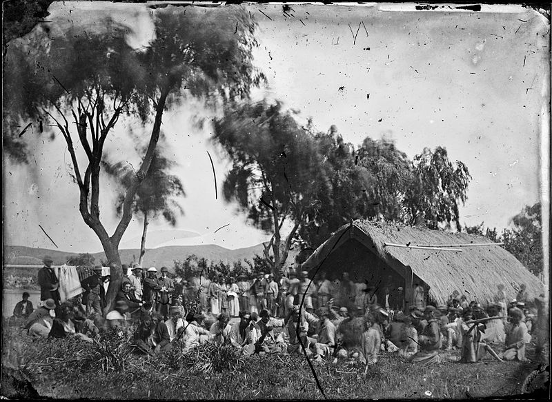 File:Donald McLean purchasing land at Wairoa, Hawkes Bay.jpg