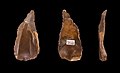 * Nomination Flint Blade - Paleolithic of Egypt - Collection of Georg August Schweinfurth --Archaeodontosaurus 17:53, 25 December 2010 (UTC) * Promotion Someone marked some dust spots, else good --Mbdortmund 00:21, 26 December 2010 (UTC)*  Done Correction made --Archaeodontosaurus 08:57, 26 December 2010 (UTC) good and useful --Mbdortmund 14:15, 27 December 2010 (UTC)