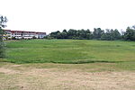 Ice pond meadow