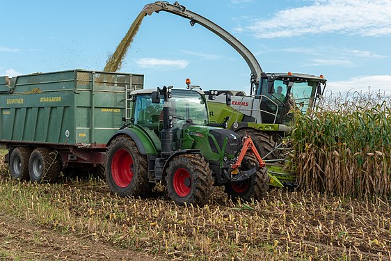 Ernte der Maispflanzen für die Biogas-Anlage in Baden-Württemberg