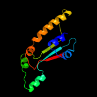 Small percentage of FAM214A tertiary structure FAM214A Secondary Structure.png