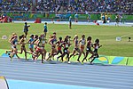 Miniatuur voor Atletiek op de Olympische Zomerspelen 2016 – 3000 meter steeplechase vrouwen