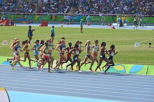 Finale3000mSteepleJO2016 001.jpg