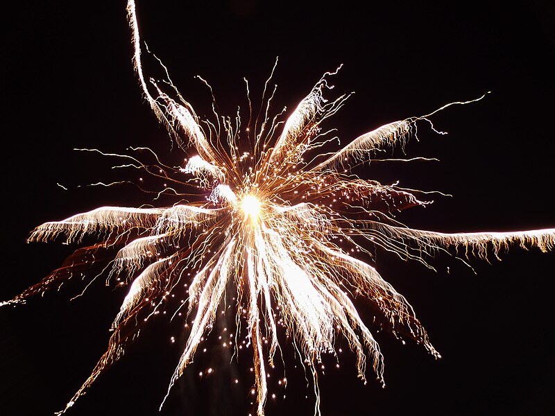 File:Firework2012.jpg