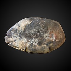 Fish-shaped kohol palette-AF 6908