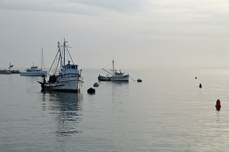 File:Fishing at Monterey (3480162240).jpg