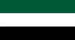 Northern Alliance flag flown in Panjshir 2021.svg