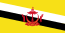 Flag of Brunei.svg