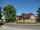 European white elm (Ulmus laevis)