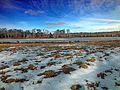 Flickr - Nicholas T - Beaver Run Shallow Water Impoundment (5) .jpg